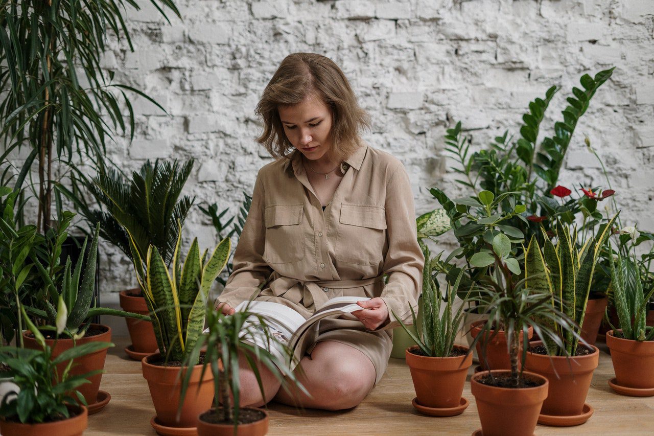 a woman showing how to pack your plants for a long-distance move