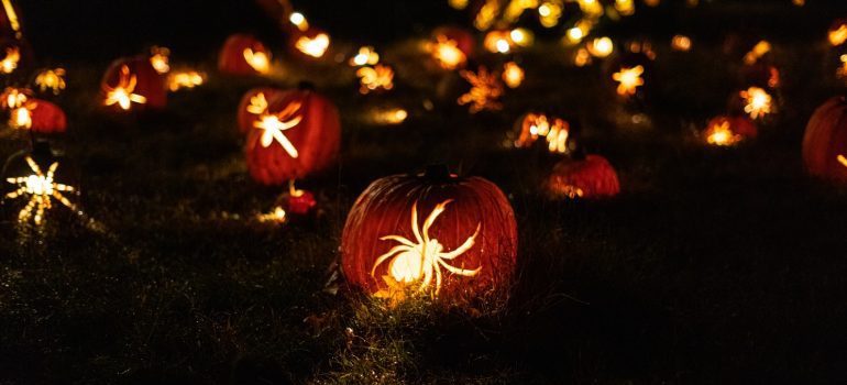 pumpkins with lights